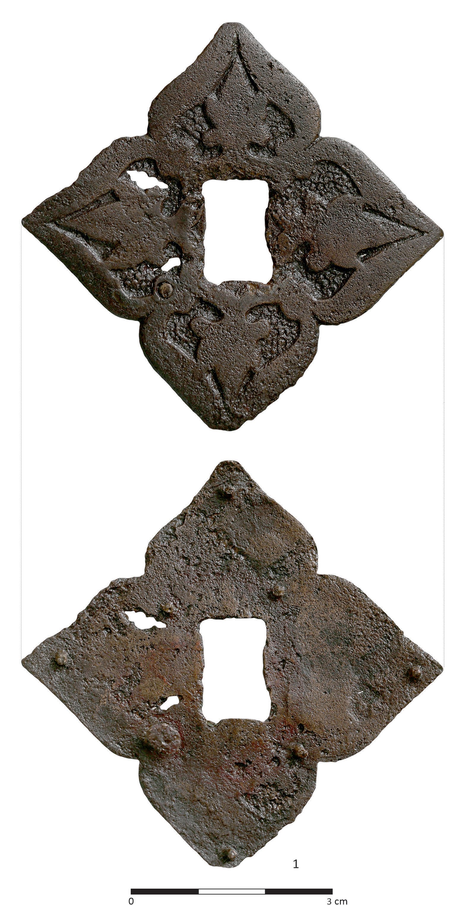 Plate 5. Cluj-Napoca-Plugarilor street, grave no. 25: 1 (Photo by S. Odenie).